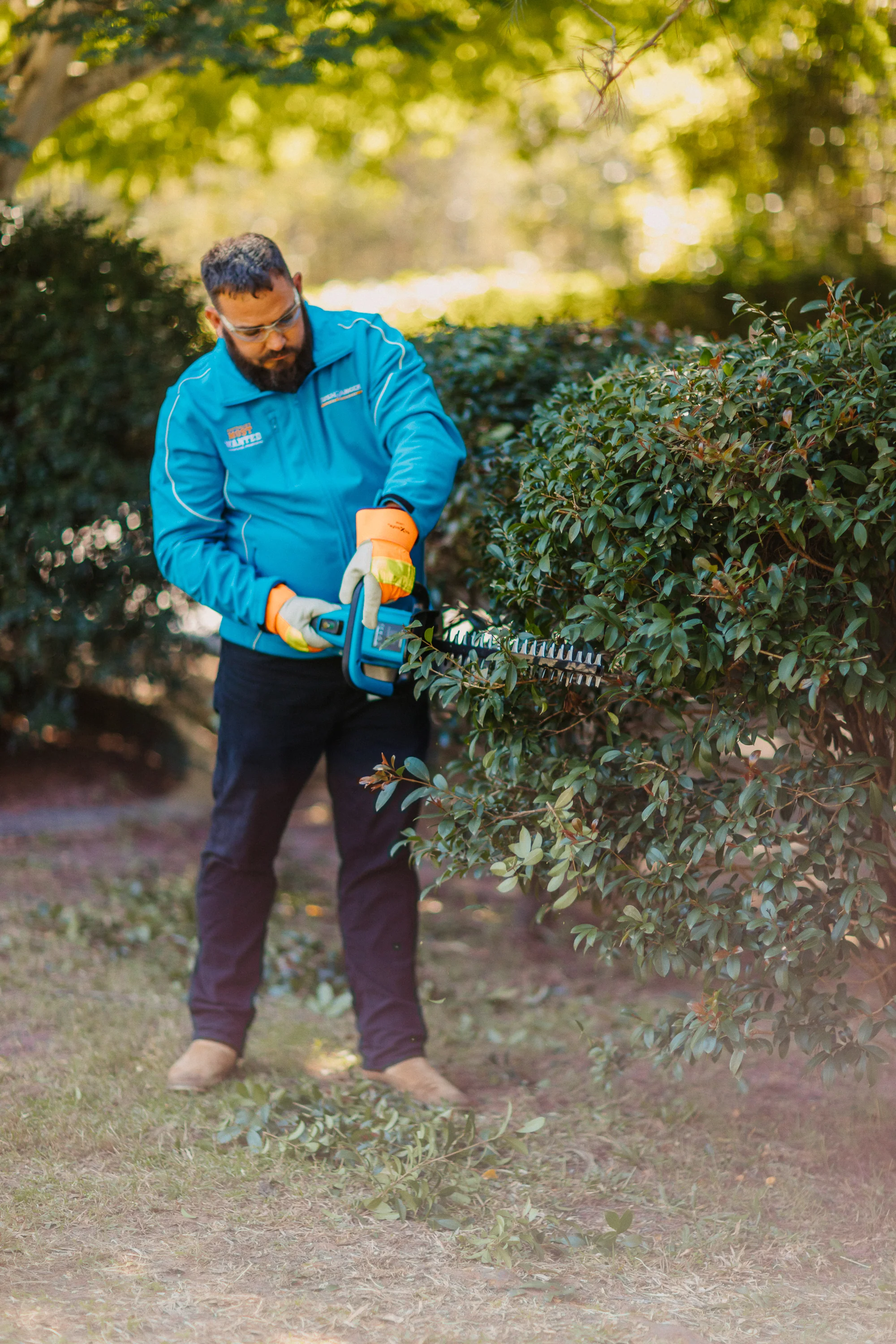 Bushranger® 36V9301 36V Battery Powered Hedge Trimmer (Skin Only) - Image 9